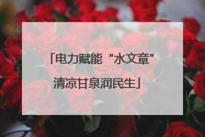 电力赋能“水文章” 清凉甘泉润民生