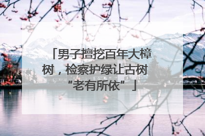男子擅挖百年大樟树，检察护绿让古树“老有所依”