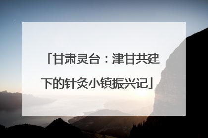 甘肃灵台：津甘共建下的针灸小镇振兴记