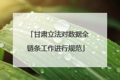 甘肃立法对数据全链条工作进行规范