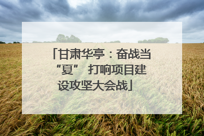 甘肃华亭：奋战当“夏” 打响项目建设攻坚大会战