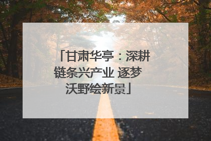 甘肃华亭：深耕链条兴产业 逐梦沃野绘新景
