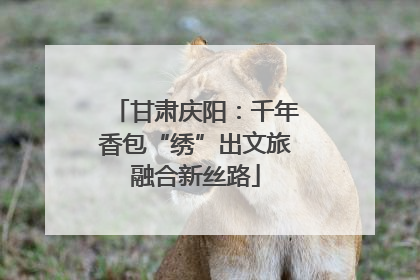 甘肃庆阳：千年香包“绣”出文旅融合新丝路