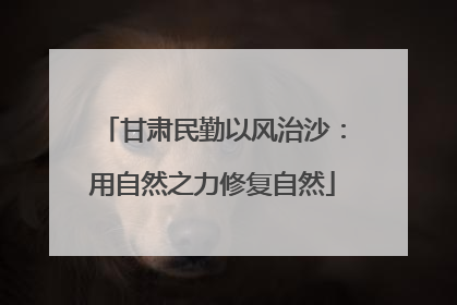 甘肃民勤以风治沙：用自然之力修复自然
