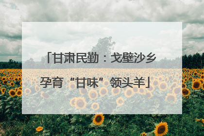 甘肃民勤：戈壁沙乡孕育“甘味”领头羊