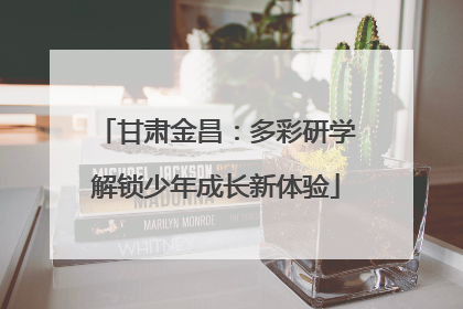 甘肃金昌：多彩研学解锁少年成长新体验