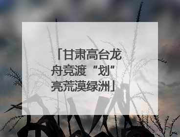 甘肃高台龙舟竞渡“划”亮荒漠绿洲
