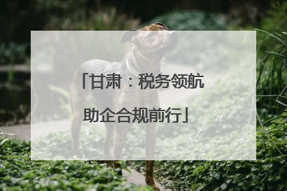 甘肃：税务领航 助企合规前行