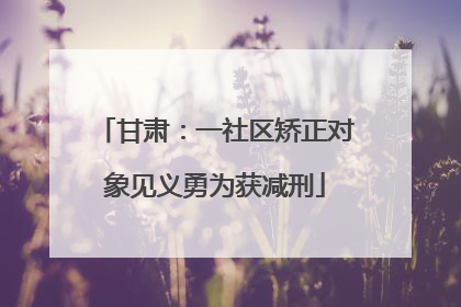 甘肃：一社区矫正对象见义勇为获减刑