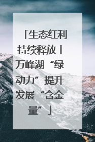 生态红利持续释放丨万峰湖“绿动力”提升发展“含金量”