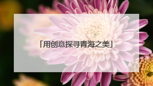 用创意探寻青海之美