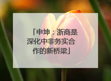 申坤：浙商是深化中非务实合作的新桥梁