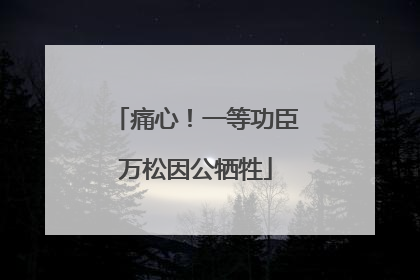 痛心！一等功臣万松因公牺牲