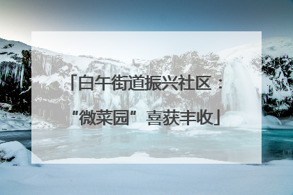 白午街道振兴社区：“微菜园”喜获丰收
