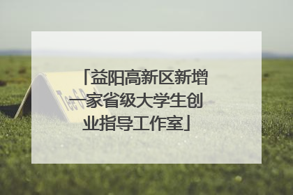 益阳高新区新增一家省级大学生创业指导工作室