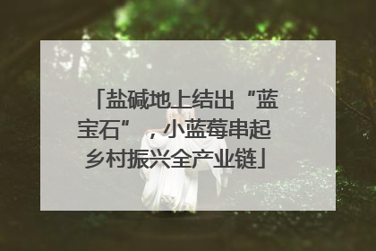 盐碱地上结出“蓝宝石”，小蓝莓串起乡村振兴全产业链