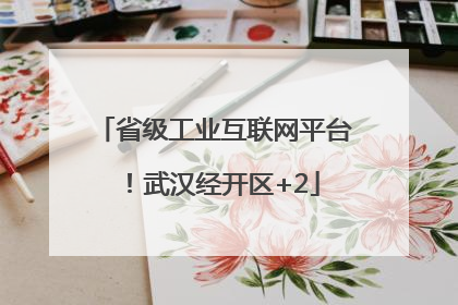 省级工业互联网平台！武汉经开区+2