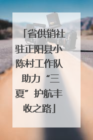 省供销社驻正阳县小陈村工作队 助力“三夏”护航丰收之路