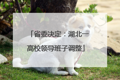 省委决定：湖北一高校领导班子调整