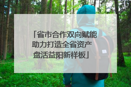省市合作双向赋能 助力打造全省资产盘活益阳新样板