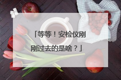 等等！安检仪刚刚过去的是啥？