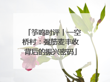 筝鸣时评丨一空桥村：强筋麦丰收背后的振兴密码