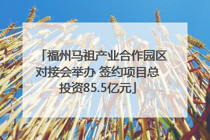 福州马祖产业合作园区对接会举办 签约项目总投资85.5亿元