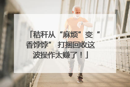 秸秆从“麻烦”变“香饽饽” 打捆回收这波操作太赚了！
