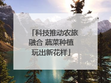 科技推动农旅融合 蔬菜种植玩出新花样