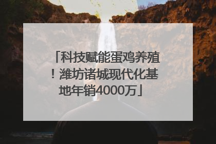 科技赋能蛋鸡养殖！潍坊诸城现代化基地年销4000万