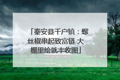 秦安县千户镇：螺丝椒串起致富链 大棚里绘就丰收图
