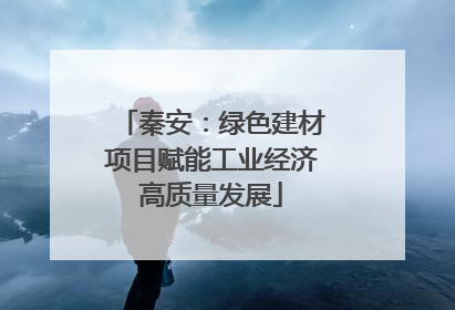 秦安：绿色建材项目赋能工业经济高质量发展