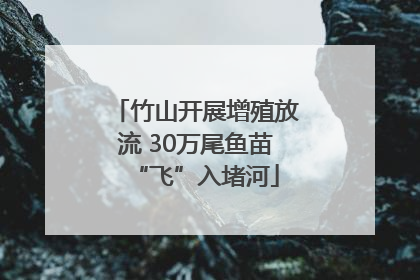 竹山开展增殖放流 30万尾鱼苗“飞”入堵河