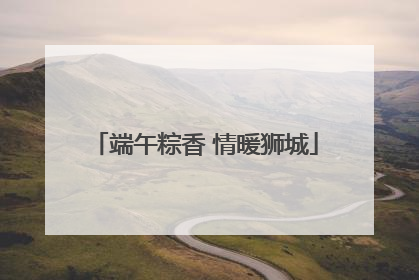 端午粽香 情暖狮城