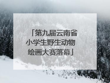 第九届云南省小学生野生动物绘画大赛落幕