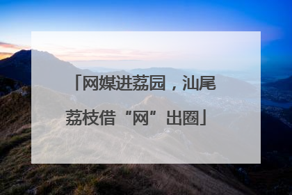 网媒进荔园，汕尾荔枝借“网”出圈