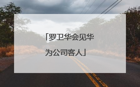 罗卫华会见华为公司客人