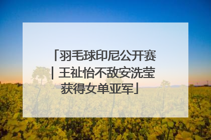 羽毛球印尼公开赛｜王祉怡不敌安洗莹 获得女单亚军