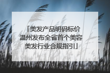 美发产品明码标价 温州发布全省首个美容美发行业合规指引
