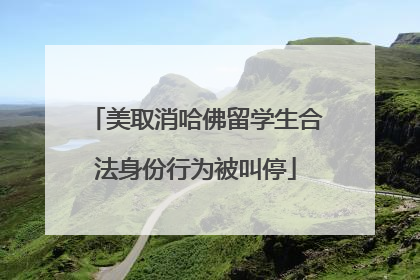 美取消哈佛留学生合法身份行为被叫停