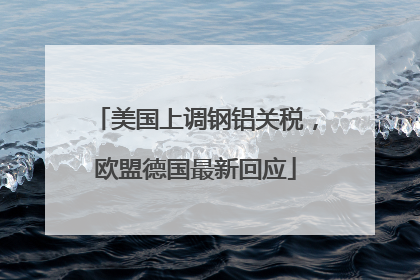 美国上调钢铝关税，欧盟德国最新回应