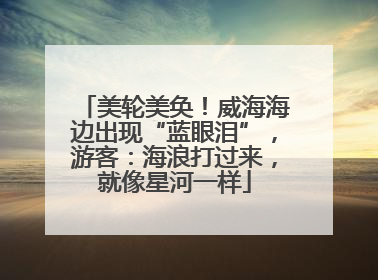 美轮美奂！威海海边出现“蓝眼泪”，游客：海浪打过来，就像星河一样