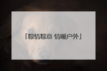 粽情粽意 情暖户外