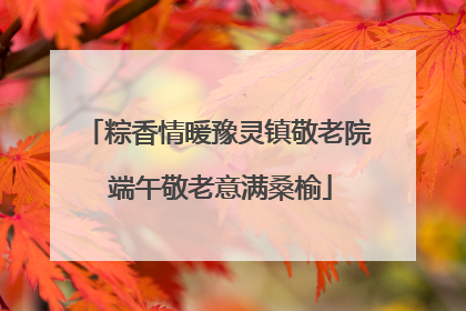 粽香情暖豫灵镇敬老院 端午敬老意满桑榆
