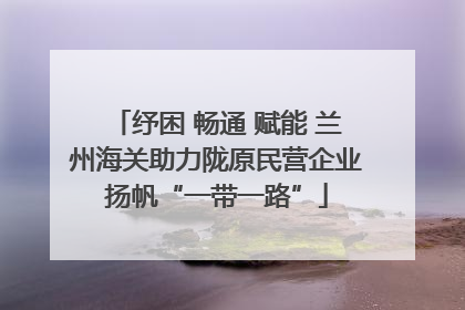纾困 畅通 赋能 兰州海关助力陇原民营企业扬帆“一带一路”