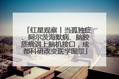 红星观察丨当孤独症、阿尔茨海默病、脑胶质瘤遇上脑机接口，成都科研改变医学图景