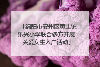 绵阳市安州区黄土镇乐兴小学联合多方开展关爱女生入户活动