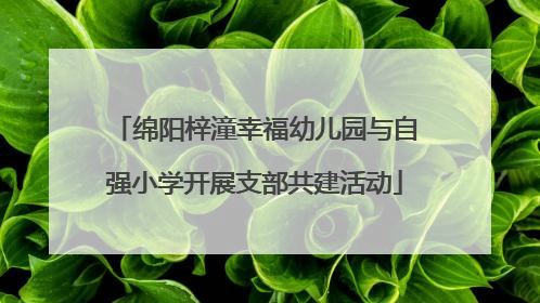 绵阳梓潼幸福幼儿园与自强小学开展支部共建活动