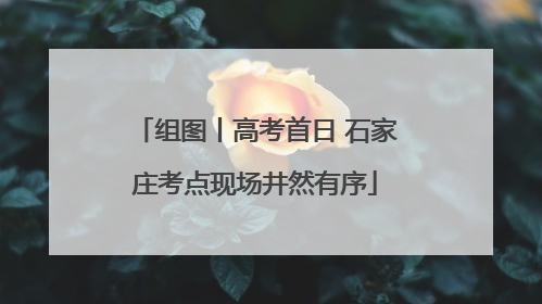 组图丨高考首日 石家庄考点现场井然有序