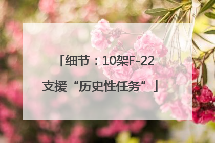 细节：10架F-22支援“历史性任务”